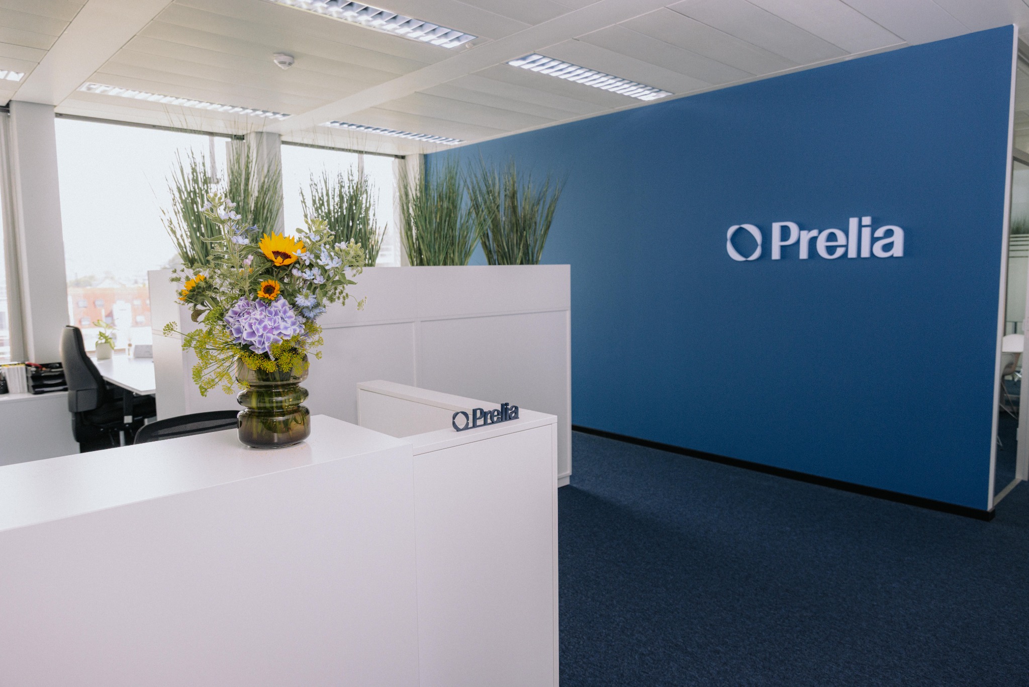 Empfang von Prelia mit Kanzleilogo an der blauen Wand.